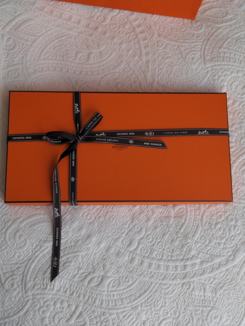 Hermes Authentic Scarf Box + Ribbon + Shopping Bag - Picture 2 of 10